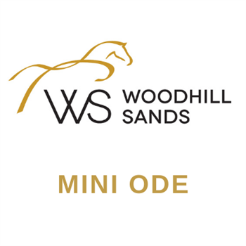 Woodhill Sands Labour Weekend Mini ODE