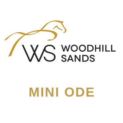 Woodhill Sands Labour Weekend Mini ODE